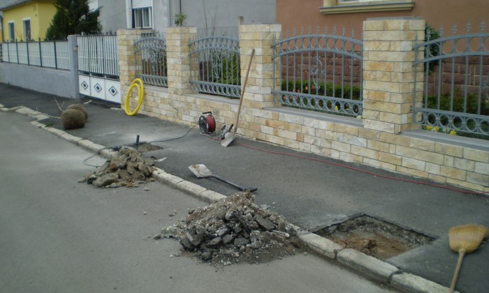 Veszprém - Az aszfaltban is lehet fa!_0