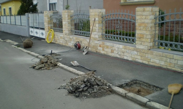 Veszprém - Az aszfaltban is lehet fa!_0