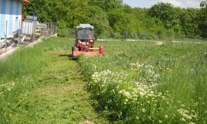 Veszprém - Biogazdaság előkészítése_4