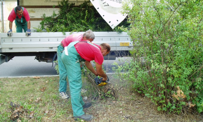 Veszprém - Családi pihenőpark játszótérrel_1