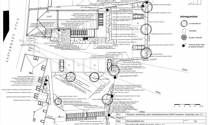 Veszprém, Eszterházy-udvar - Közösségi kert építése_1