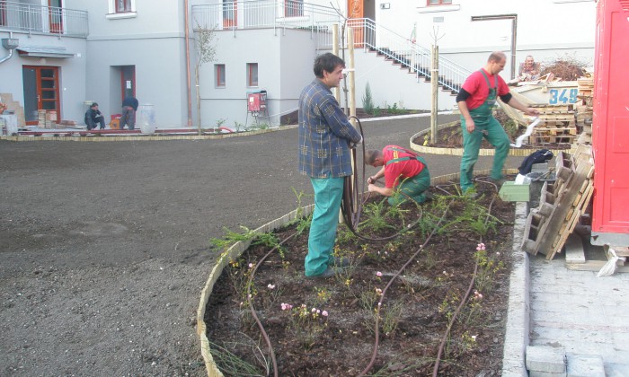 Veszprém, Eszterházy-udvar - Közösségi kert építése_9