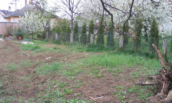 Veszprém - Hosszú kert színes növénysávokkal_1