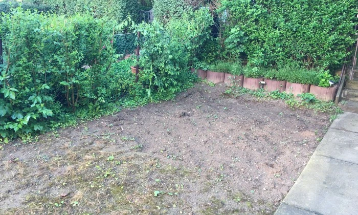 Veszprém - Kis kert, egyszerű fenntartás_3