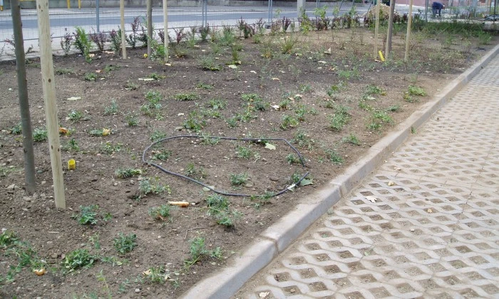 Veszprém, Pannon Egyetem - Kollégiumi parkoló rendezése_14
