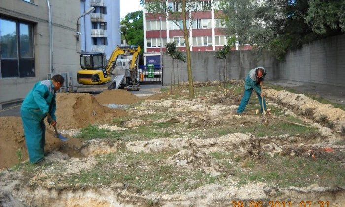 Veszprém, Pannon Egyetem - Parkoló zöldítése_3