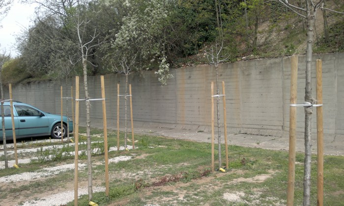 Veszprém, Pannon Egyetem - Parkoló zöldítése_8
