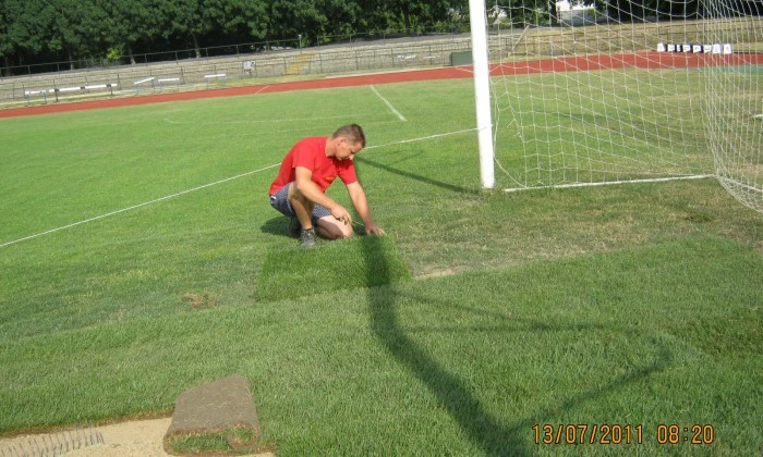 Veszprém, Stadion futballpálya - Gyepszőnyegezés_5
