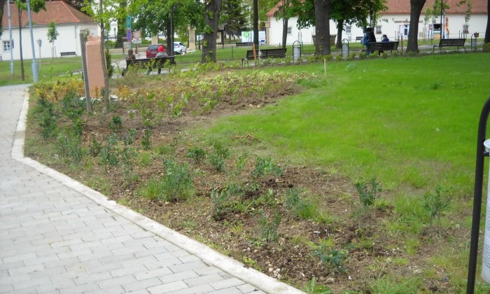 Zirc, Rákóczi tér - Színesítés virágzó szigetekkel_2