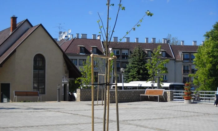 Zirc, Rákóczi tér - Színesítés virágzó szigetekkel_3