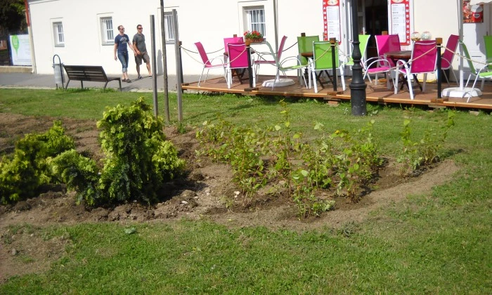 Zirc, Rákóczi tér - Színesítés virágzó szigetekkel_4