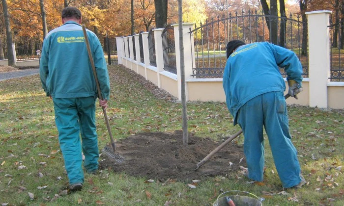 Zöldfelület gazdagítása virágzó növényszigetekkel_3