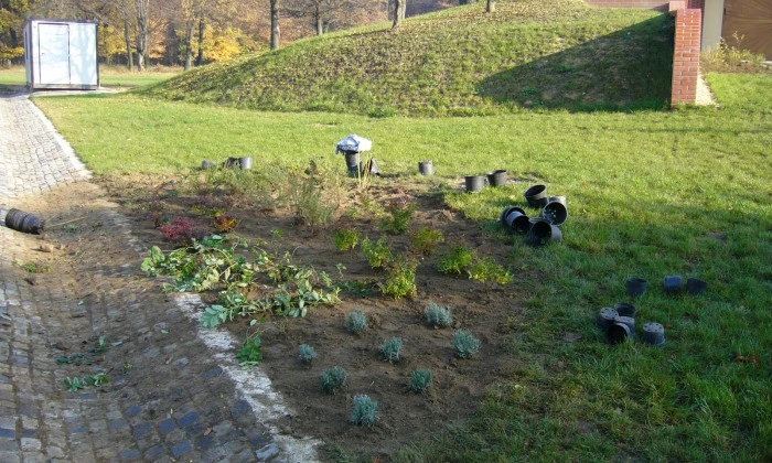 Zöldfelület gazdagítása virágzó növényszigetekkel_8
