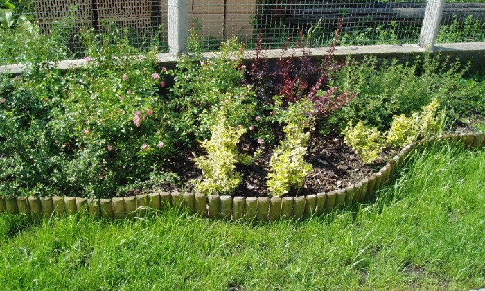 Ősi - Kis kert, virágzó növényágyásokkal tarkítva_1