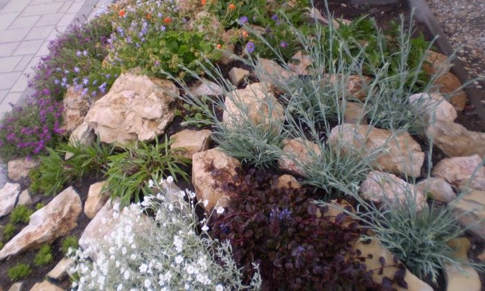 Ősi - Kis kert, virágzó növényágyásokkal tarkítva_3