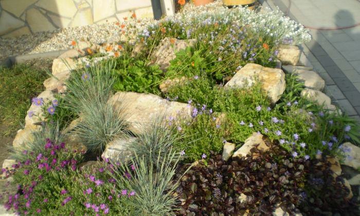 Ősi - Kis kert, virágzó növényágyásokkal tarkítva_4