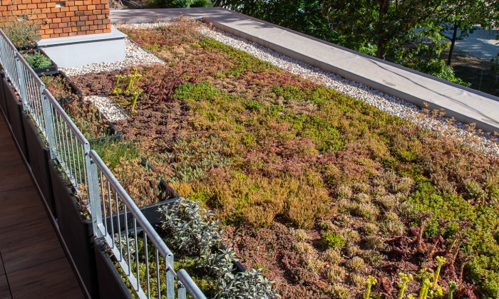 Veszprém- Zöldtető korlátrendszerrel