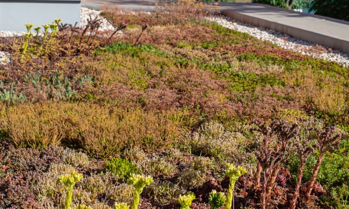 Veszprém- Zöldtető korlátrendszerrel