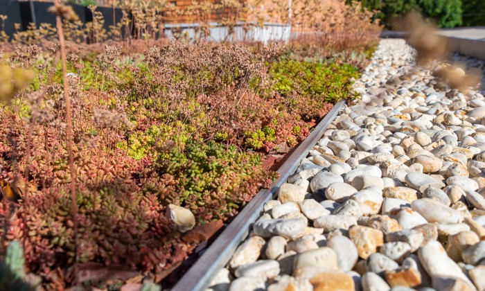 Veszprém- Zöldtető korlátrendszerrel