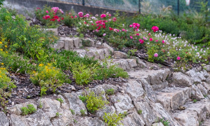 Alsóörs- újdonságok kertje