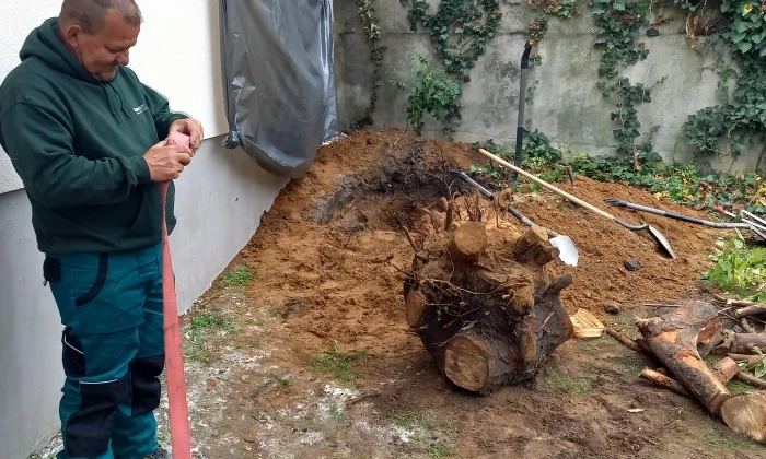 Kicsi kert, messze innen