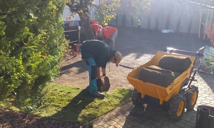 Kicsi kert, messze innen