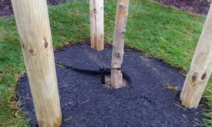 Kicsi kert, messze innen