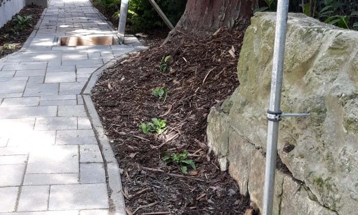 romantikus18