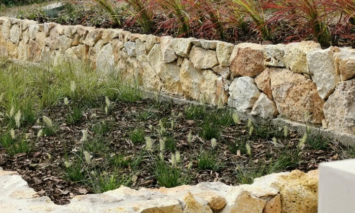 tihany2