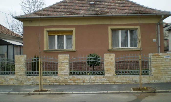 Veszprém - Az aszfaltban is lehet fa!_2