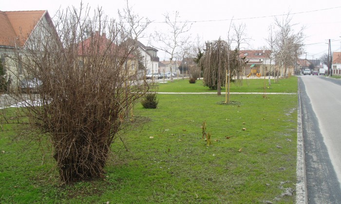 Veszprém - Családi pihenőpark játszótérrel_1