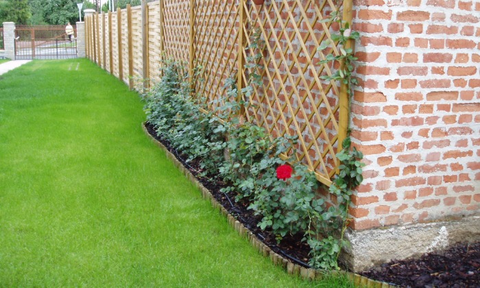 Veszprém - Hosszú kert színes növénysávokkal_2