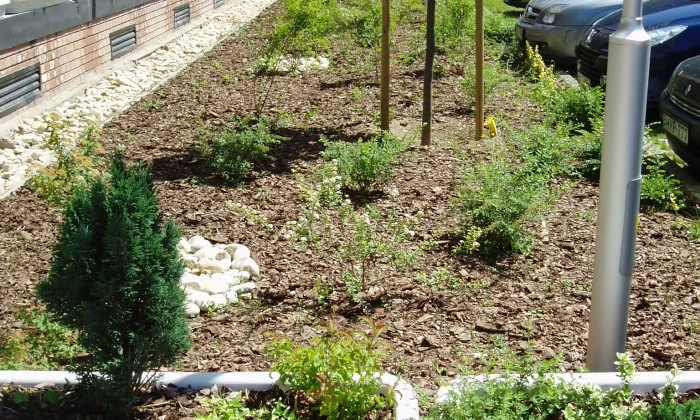 Veszprém, Pannon Egyetem - Kollégiumi parkoló rendezése_1