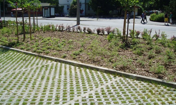 Veszprém, Pannon Egyetem - Kollégiumi parkoló rendezése_2