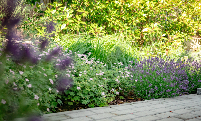 Egy kis kert, nagy szívvel – 200 m²-es zöld csoda