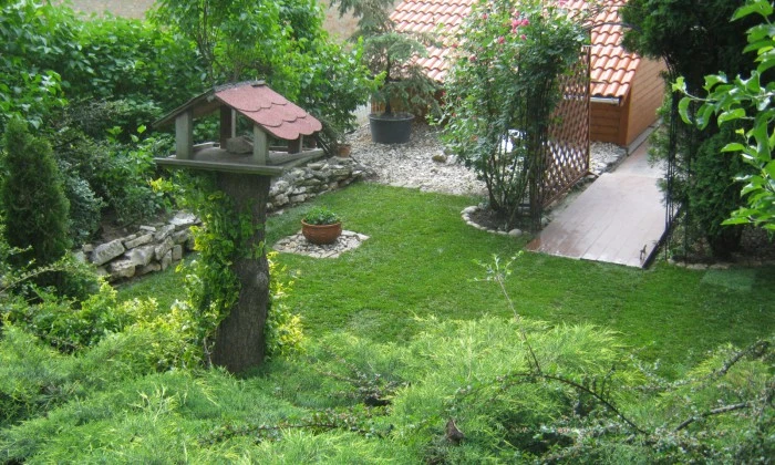 Ajka - kis kert, nagy lehetőségekkel