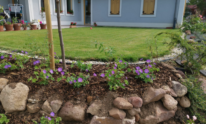 Alsóörsi rézsűrendezés