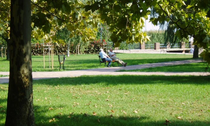 Balatonalmádi Öregpark - parkszépítés