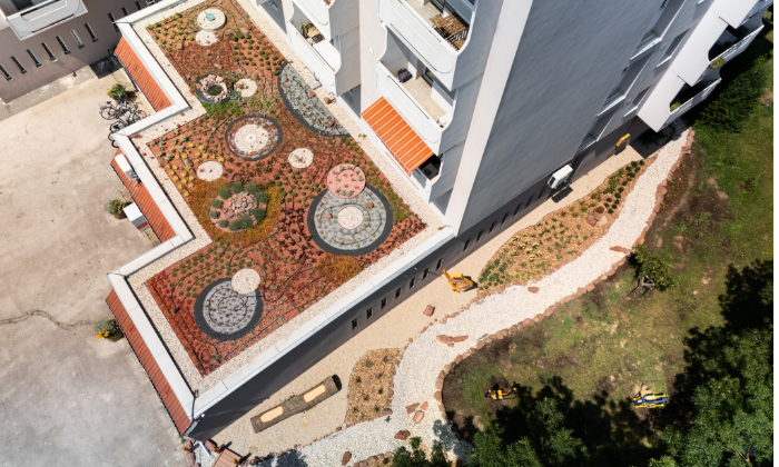 Csobogók egy társasházi zöldtetőn