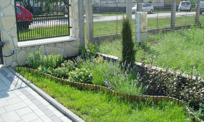 Ősi - Kis kert, virágzó növényágyásokkal tarkítva
