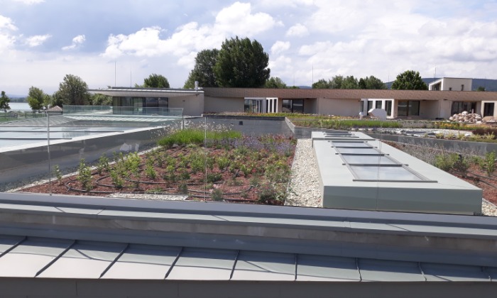 Pelso Bay- Balatoni zöldtető