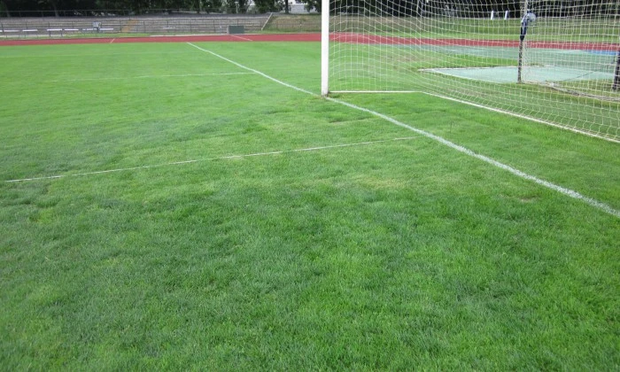 Veszprém, Stadion futballpálya - Gyepszőnyegezés