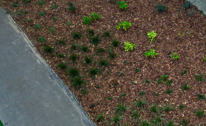 Zöld–kék infrastruktúra fejlesztések településeken - pályázz velünk!