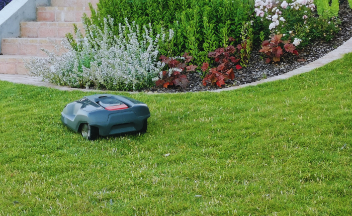 Füvesítés, gyepszőnyegterítés